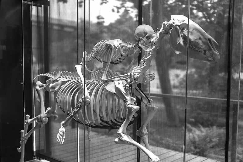 Easy Rider