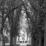181961