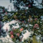 2016-08-11-home-gold-200-037