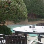 3646337
