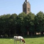 5611911