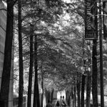 l2050682-edit