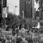 l2050708-edit