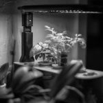 l2051347-edit